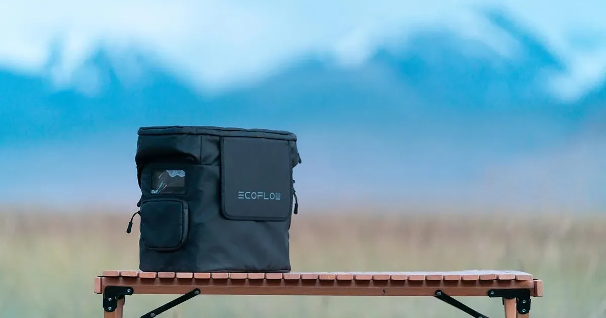 EcoFlow DELTA 2 Max Bag 4 EcoFlow DELTA 2 Max Bag tanzania