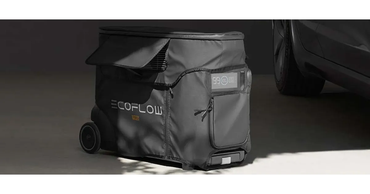 EcoFlow DELTA Pro Bag tanzania